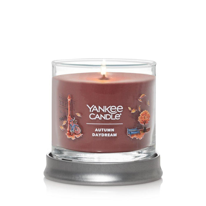 YANKEE CANDLE JAR-YCNT SM ATM DYDRM