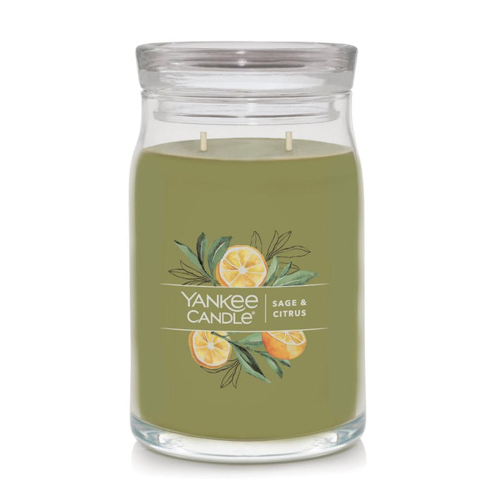 YANKEE CANDLE JAR-YCNC LG2 SG/CITRUS