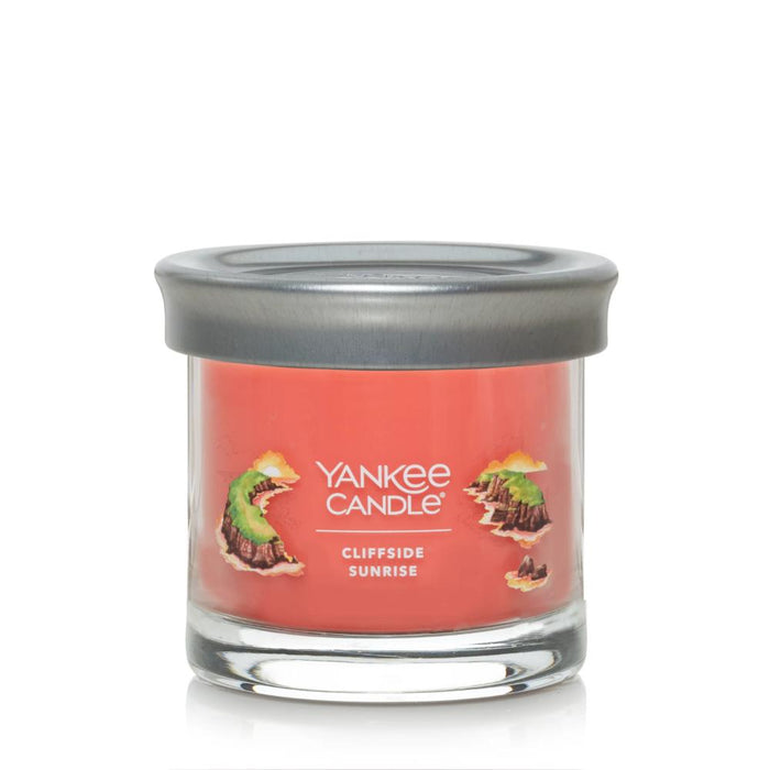 YANKEE CANDLE JAR-YCNT SM CLFSD SNS