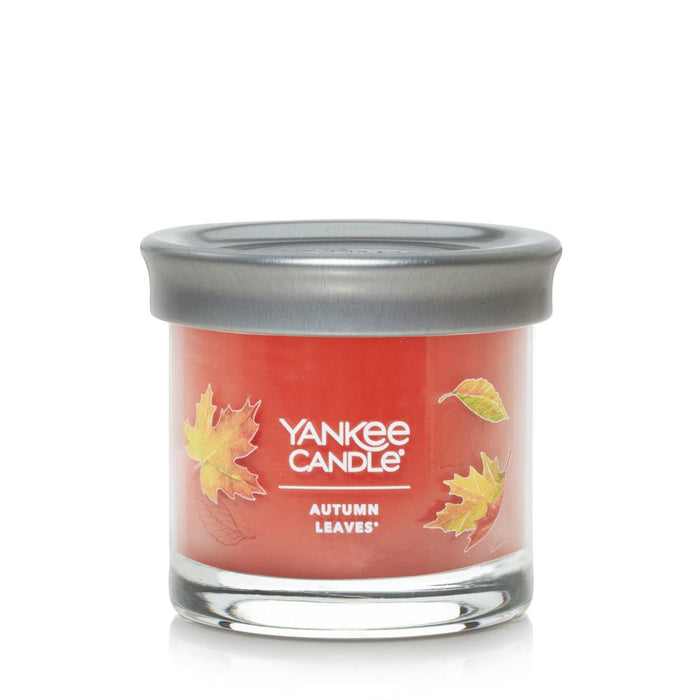 YANKEE CANDLE JAR-YCNT SM ATMN LVES